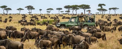Nairobi: Safari de 4 días a Masai Mara y Lago Nakuru - Gama media