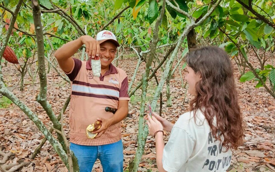 Guayaquil: Cacao Farm Tour with Chocolate Making and Lunch