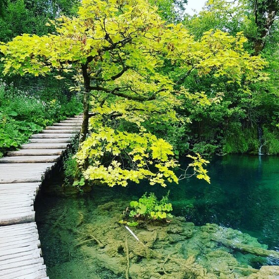 Picture 6 for Activity Half day tour around Plitvice Lakes