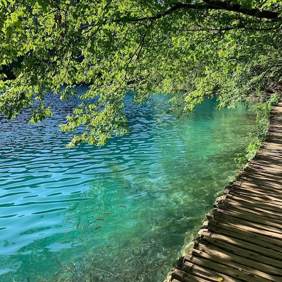 Picture 4 for Activity Half day tour around Plitvice Lakes