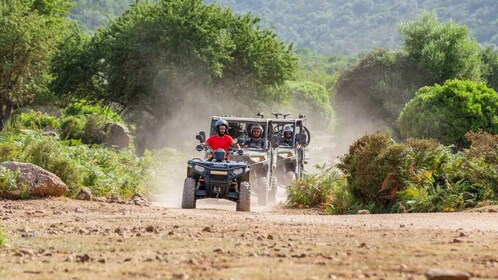 Punta Salinas: Buggy-Ausflug von Baunei