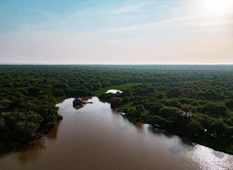 Picture 8 for Activity Boeng Peariang Bird Sanctuary in Siem Reap