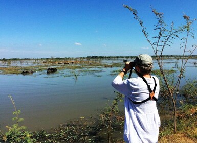 Boeng Peariang Bird Sanctuary in Siem Reap