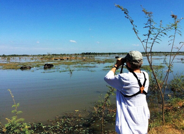 Picture 1 for Activity Boeng Peariang Bird Sanctuary in Siem Reap