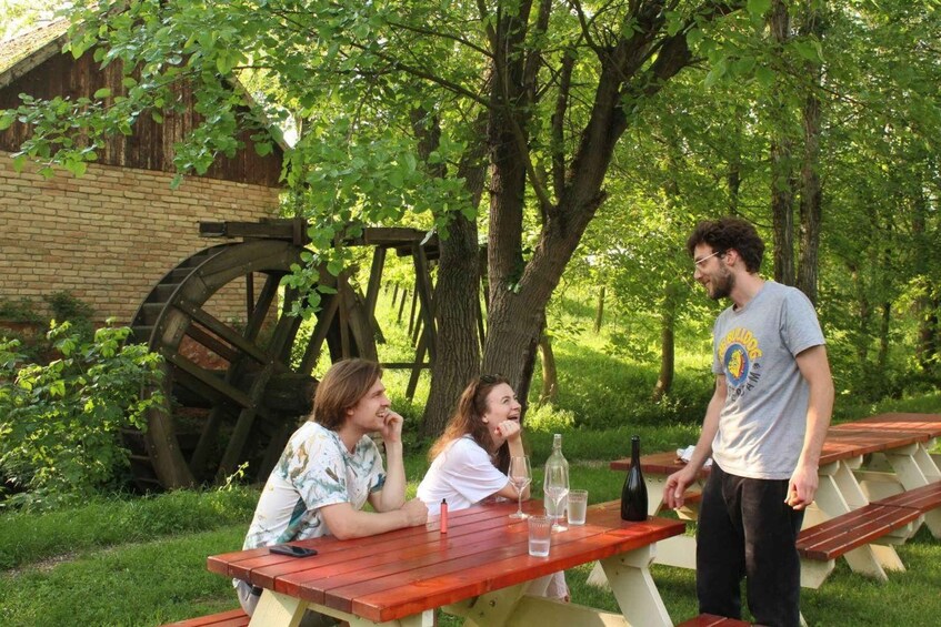Picture 3 for Activity From Belgrade or Novi Sad: Private Wine Tour in Fruska Gora