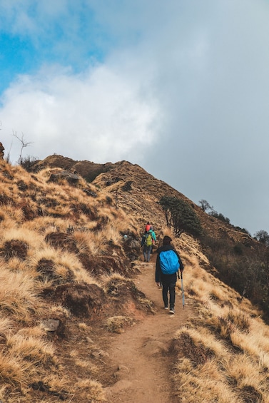 Picture 14 for Activity Pokhara: 4-Day Mesmerizing Mardi Himal Guided Trek