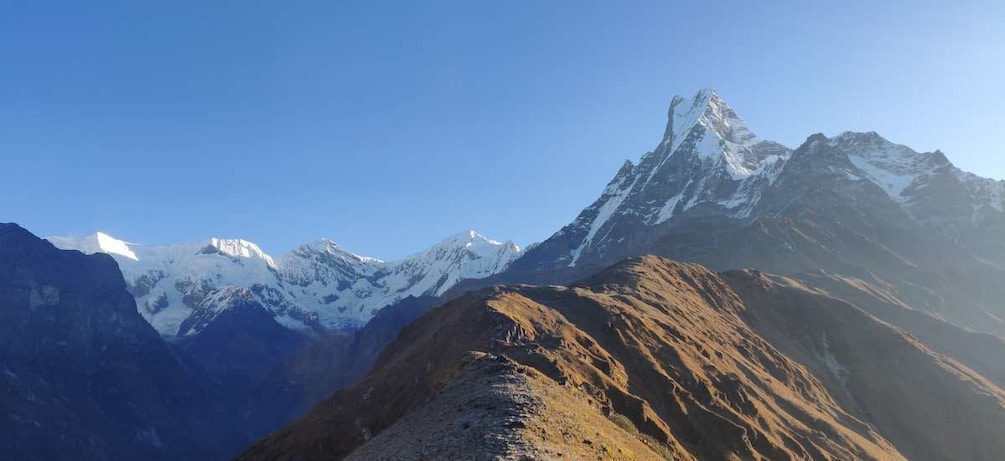 Picture 17 for Activity Pokhara: 4-Day Mesmerizing Mardi Himal Guided Trek