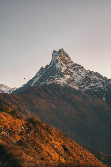 Picture 18 for Activity Pokhara: 4-Day Mesmerizing Mardi Himal Guided Trek