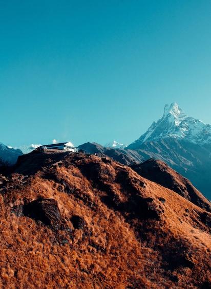 Picture 3 for Activity Pokhara: 4-Day Mesmerizing Mardi Himal Guided Trek