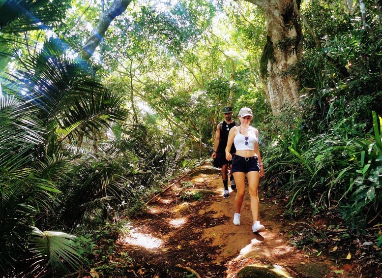 Picture 3 for Activity Ilha Grande: Lopes Mendes Private Hiking Tour