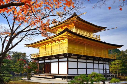 Golden Pavilion, Nijo Castle, & Nishiki Market Half day tour