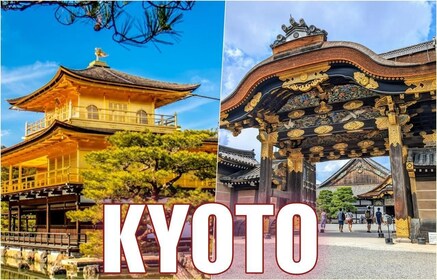 Golden Pavilion, Nijo Castle, & Nishiki Market Half day tour