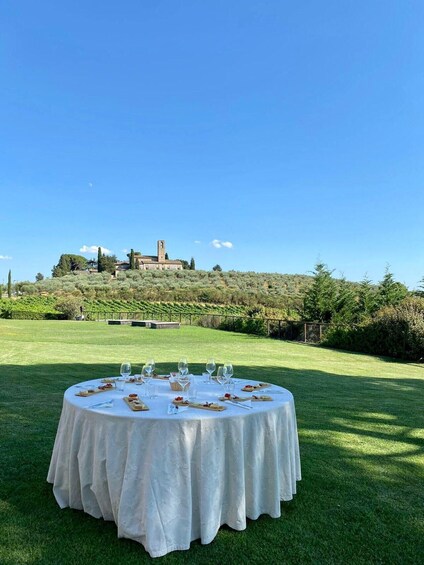 Picture 1 for Activity SAN GIMIGNANO: DEGUSTAZIONE CON VISTA SULLE TORRI