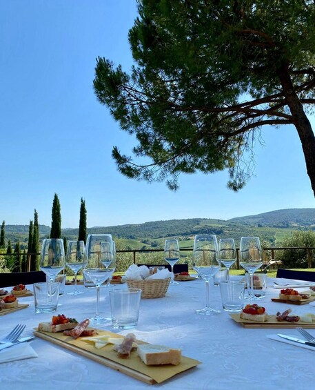 Picture 2 for Activity SAN GIMIGNANO: DEGUSTAZIONE CON VISTA SULLE TORRI