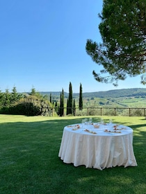 SAN GIMIGNANO: DEGUSTAZIONE CON VISTA SULLE TORRI