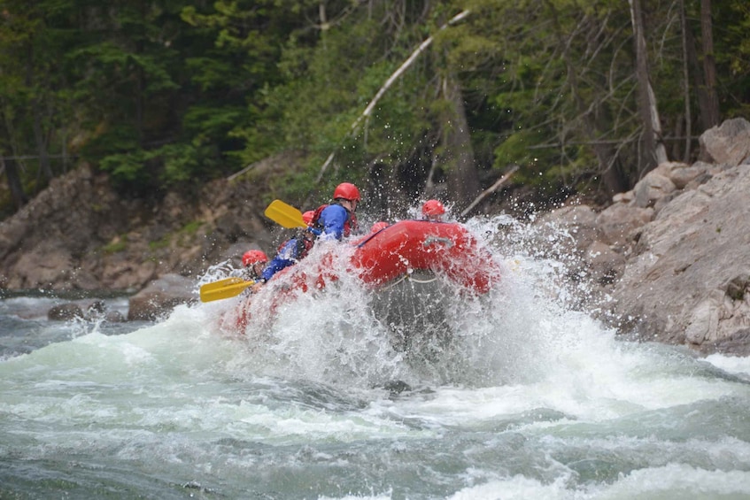 Picture 6 for Activity Whitewater Rafting (3.5 hour) Clearwater River