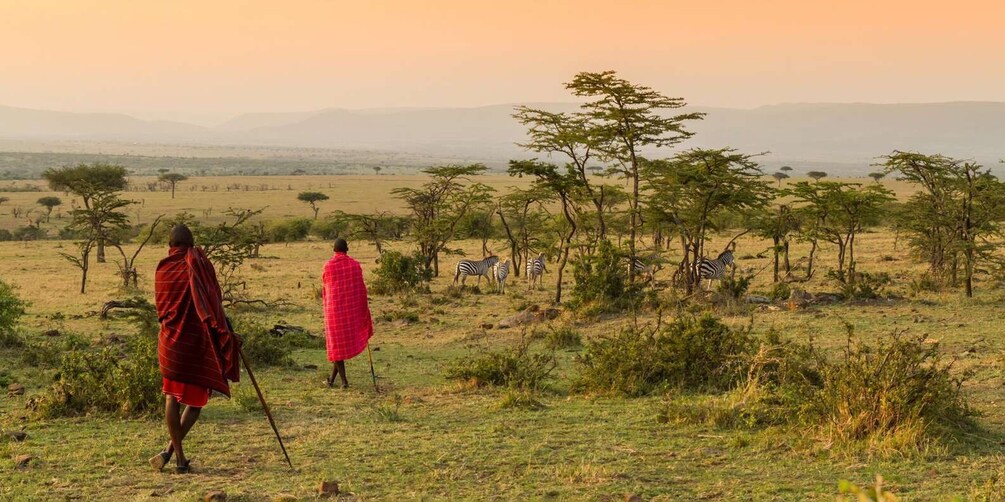 Picture 7 for Activity Authentic Maasai village & Cultural tour