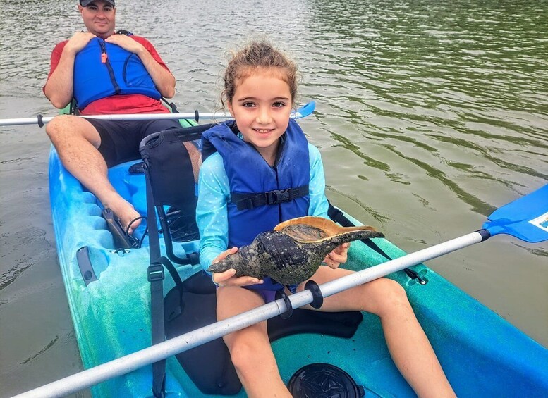 Marco Island: Kayak Mangrove Ecotour in Rookery Bay Reserve