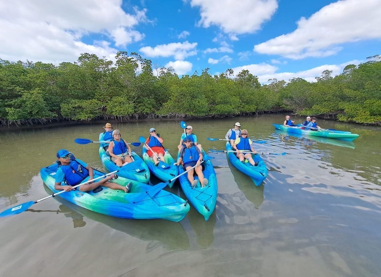 Picture 2 for Activity Marco Island: Kayak Mangrove Ecotour in Rookery Bay Reserve