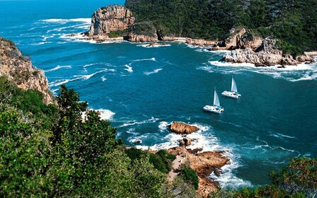 ทัวร์ส่วนตัว Knysna - เต็มวัน