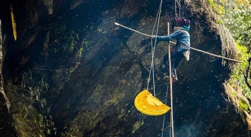 7 Days Wild Honey Hunting Tour in Lamjung, Nepal