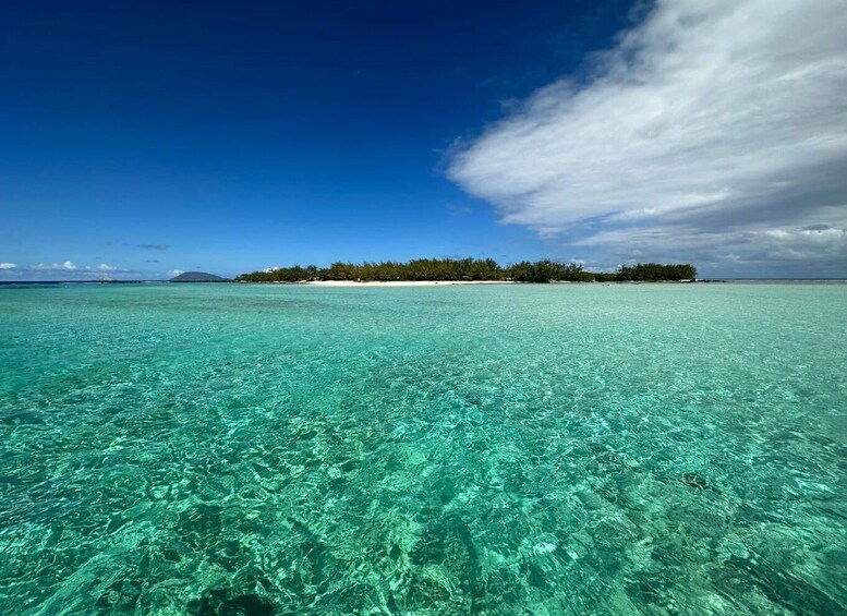 Picture 20 for Activity Ilot Gabriel: Catamaran Cruise with Snorkeling & BBQ Lunch