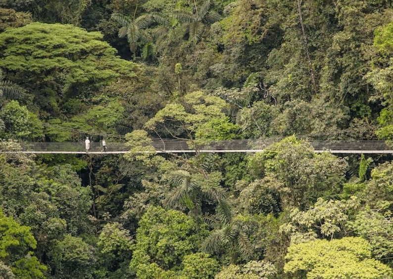 Picture 3 for Activity Combo La Fortuna Waterfall + Farm Lunch & Hanging Bridges