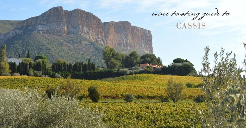 Picture 44 for Activity Best of PROVENCE : Aix-en-Provence+Cassis & Wine tasting day