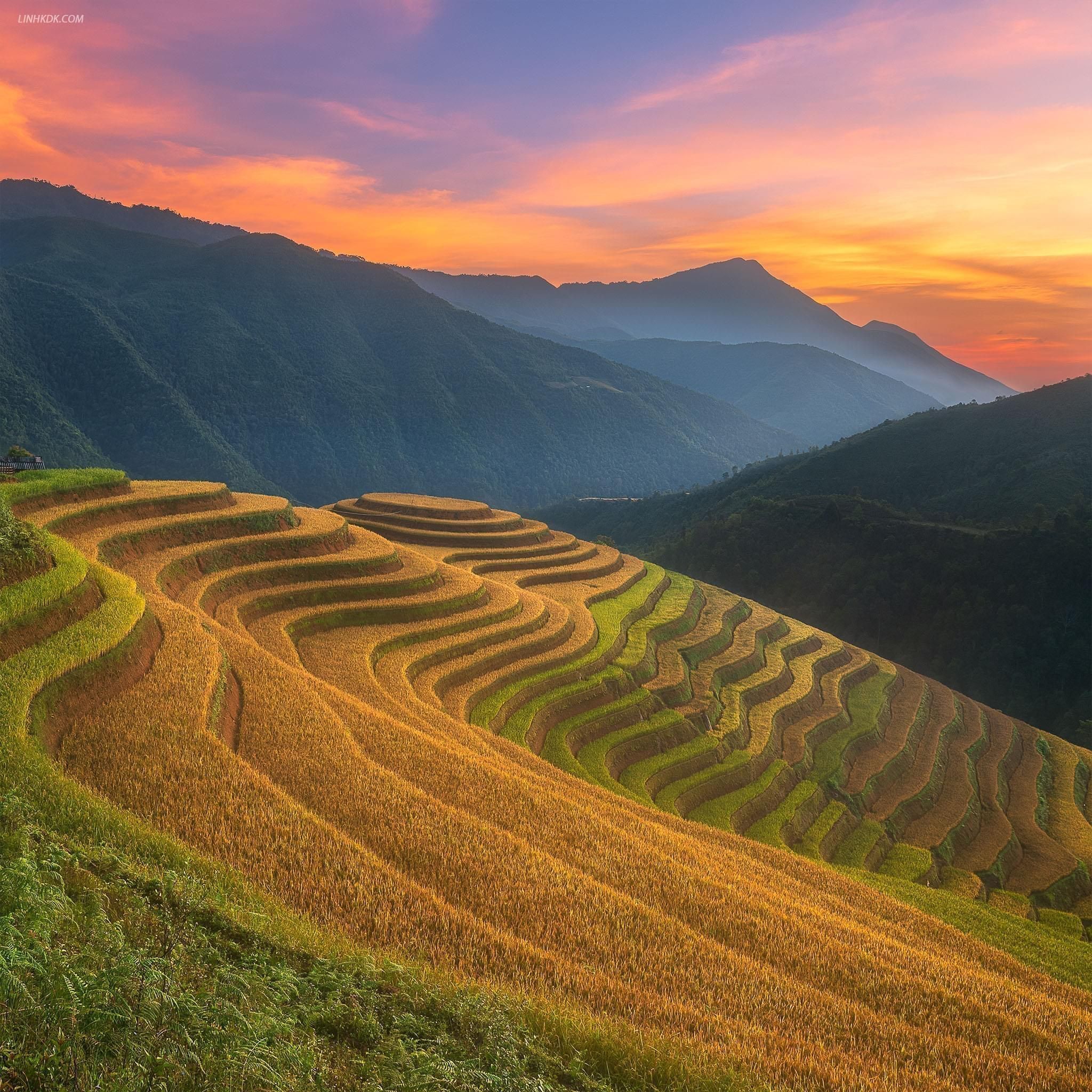 From Sapa: 1-Day Guided Trek to Lao Chai & Ta Van with Lunch