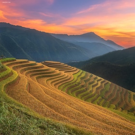 From Sapa: 1-Day Guided Trek to Lao Chai & Ta Van with Lunch