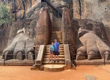 Visite de 4 jours de Sigiriya Kandy Ella avec Udawalawe Safari