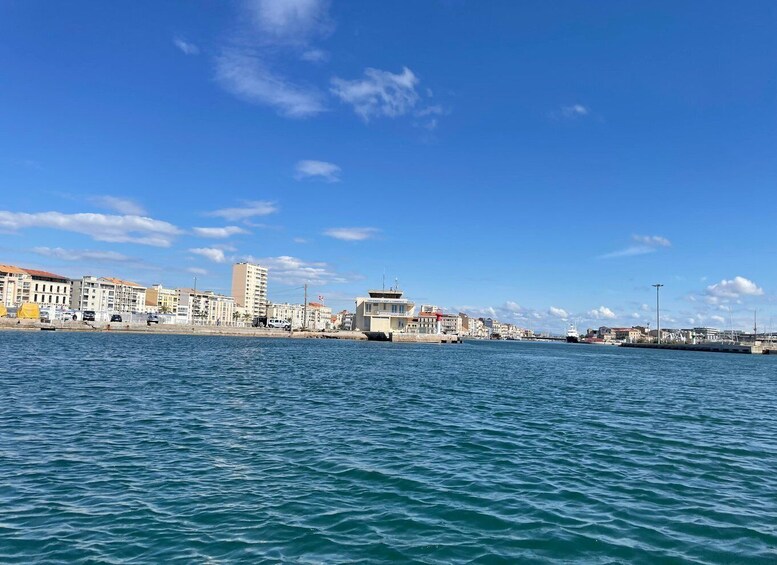 Picture 2 for Activity Montpellier: Half-day Trip to Etang de Thau Lake with Lunch