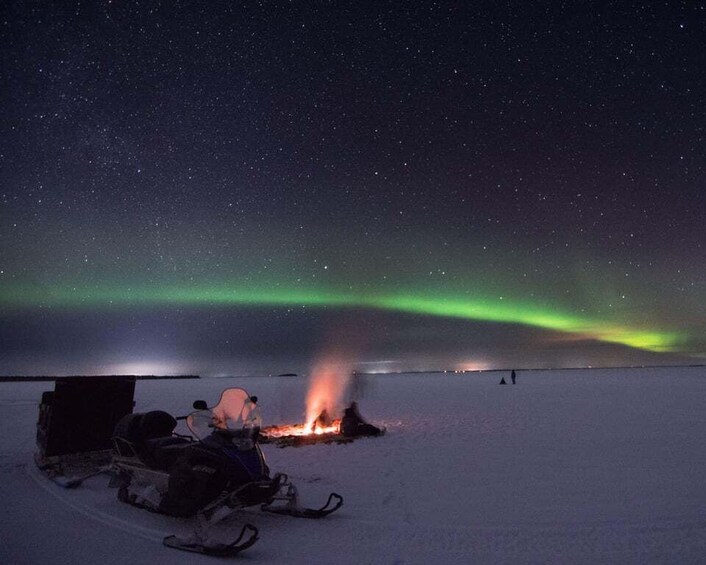 Picture 2 for Activity Luleå : Northern Lights Tour on a Snowmobile drawn Sled