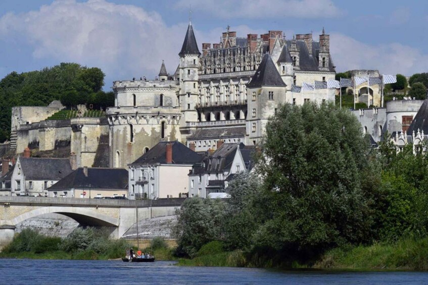 Picture 1 for Activity Touraine: Château d'Amboise and Château du Clos Lucé Tour