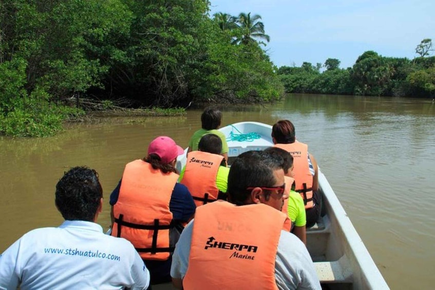 Picture 2 for Activity Huatulco: Turtles & Crocs Experience