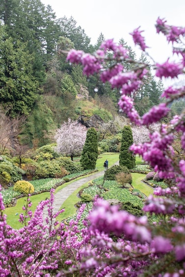 Picture 3 for Activity Day Trip to Victoria and Butchart Gardens from Vancouver