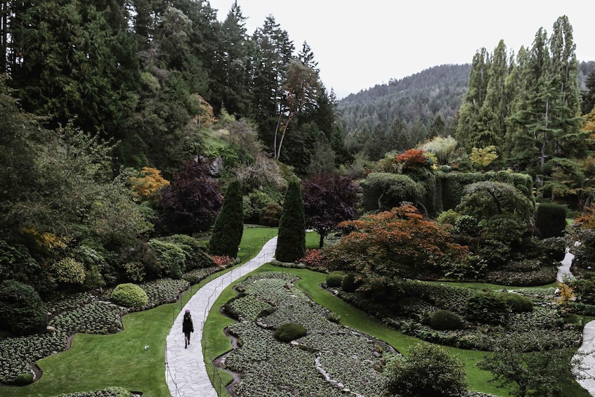 Picture 2 for Activity Day Trip to Victoria and Butchart Gardens from Vancouver