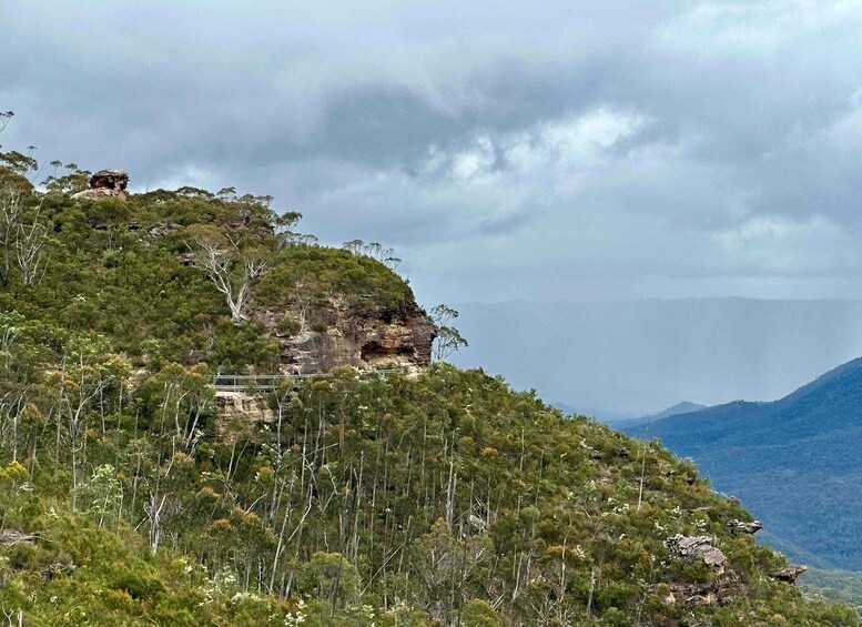 Picture 9 for Activity Blue Mountains: Inside a World Heritage National Park