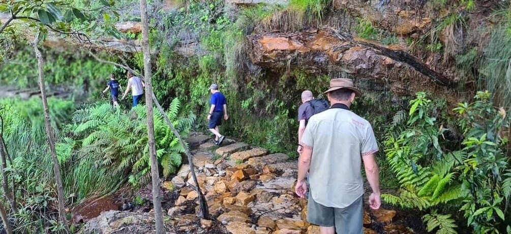 Picture 17 for Activity Blue Mountains: Inside a World Heritage National Park