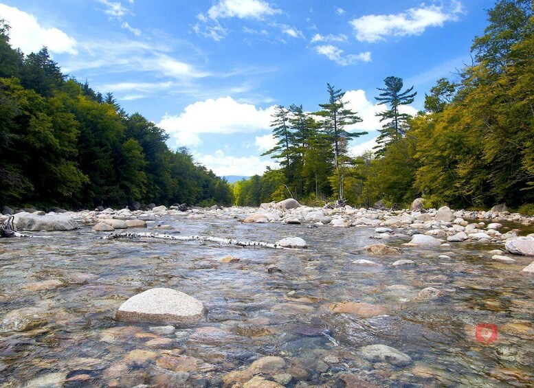 Picture 2 for Activity Kancamagus Scenic Byway: Self-Guided Peaks Driving Tour