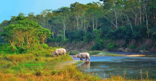 Kathmandu/Pokhara: 2-dages privat Chitwan Safari-tur i bil