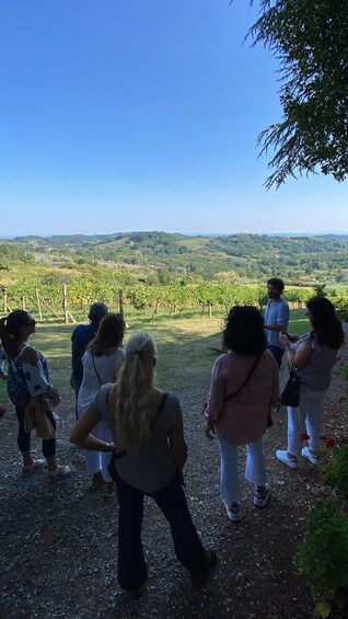 Picture 13 for Activity Tuscan Wine Tour by shuttle from Pisa