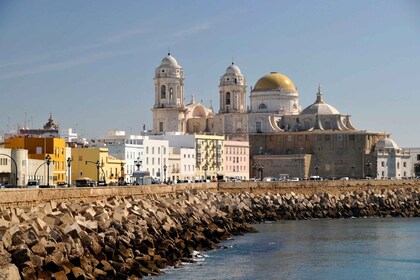 Desde Cádiz: recorrido privado por Cádiz y Jerez de la Frontera