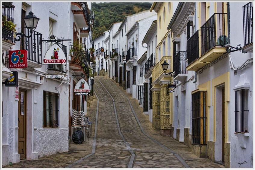 Picture 4 for Activity From Cadiz: Private Tour of Cadiz and Jerez de la Frontera