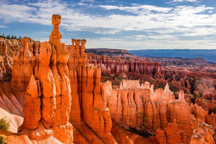 Picture 3 for Activity Arches, Canyonlands, Bryce & Zion: Driving Tour Bundle