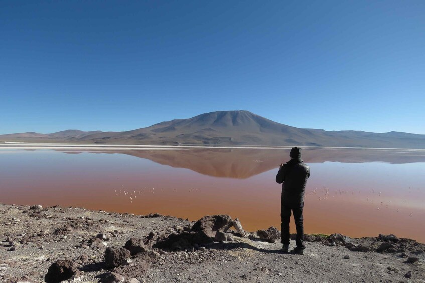 Picture 2 for Activity La Paz: Uyuni Salt Flats & Lagoon Share Trip (private room)