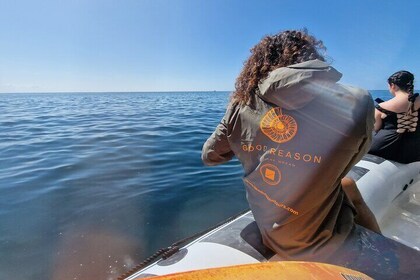 Boat Tour to the Beaches and Caves in Sesimbra