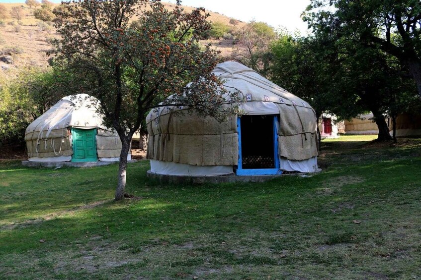 Picture 2 for Activity From Bukhara: 3-Day Yurt Stay, Hiking & Lake Aydarkul