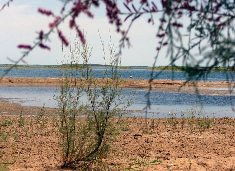 Picture 6 for Activity From Bukhara: 3-Day Yurt Stay, Hiking & Lake Aydarkul