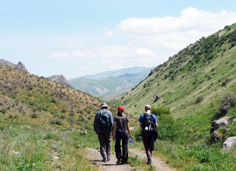 Picture 3 for Activity From Bukhara: 3-Day Yurt Stay, Hiking & Lake Aydarkul